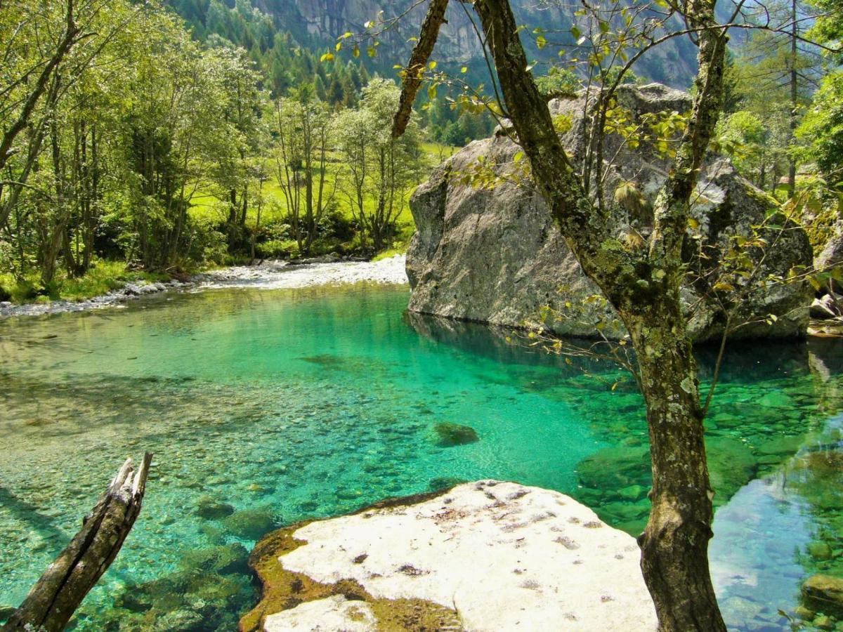 Appartamento Il Nido Tra Verde E Natura Berbenno di Valtellina Buitenkant foto